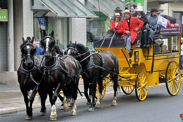 Kurfuerst   030.jpg
